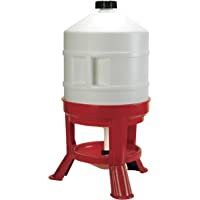 Los mejores  - Novital Bebedero para Aves de Corral Ascott- 30 litros